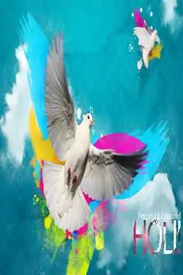 Play Holi HD Wallpaper