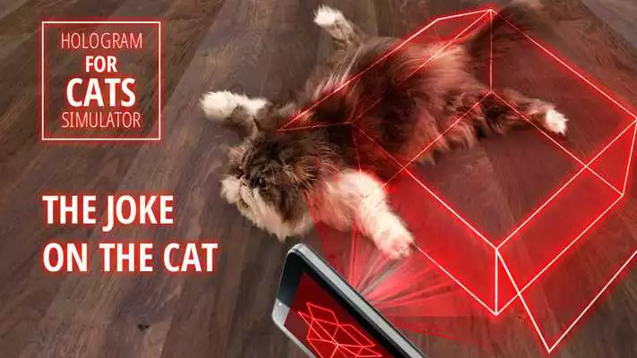 Play Hologram for cats. Simulator
