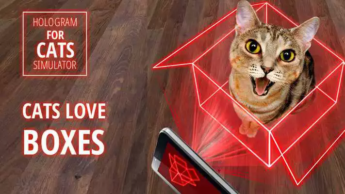 Play Hologram for cats. Simulator