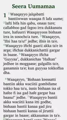 Play Holy Bible in Afaan Oromo