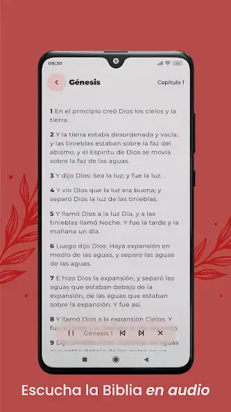 Play Holy Bible: Reading and Audio as an online game Holy Bible: Reading and Audio with UptoPlay