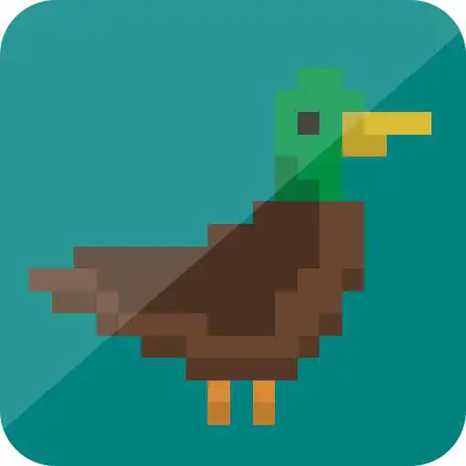 Play Holy Duck APK Play Holy Duck APK
