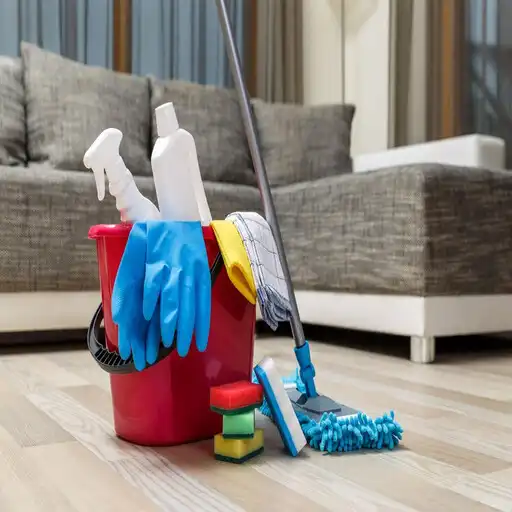 Play Home Cleaning Services 2021 APK Play Home Cleaning Services 2021 APK