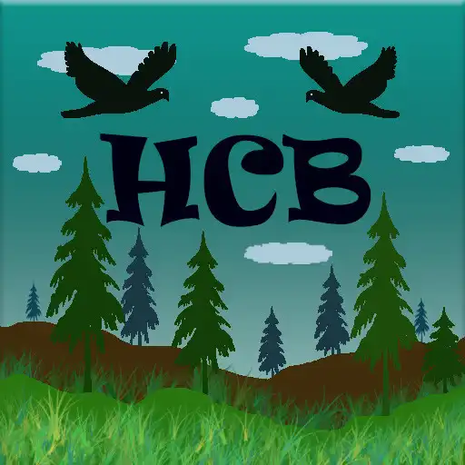 Play Home Coming Bird APK