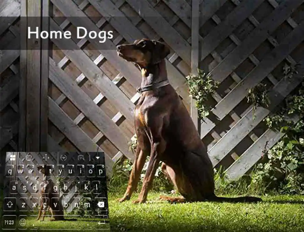 Play Home Door Dog Emoji Keyboard
