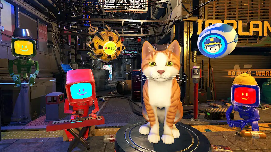 Play Homeless Cat Simulator  and enjoy Homeless Cat Simulator with UptoPlay