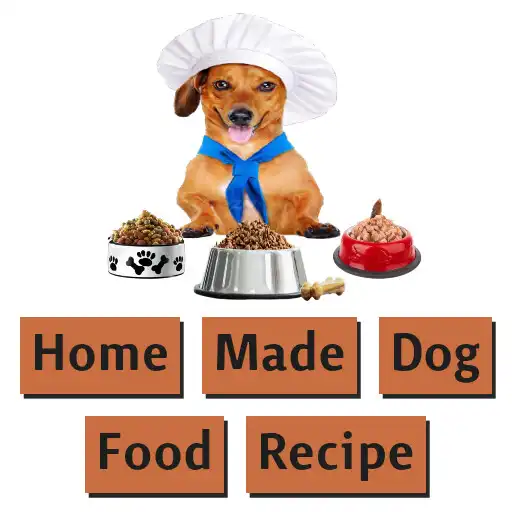 Play home made dog food recipe APK