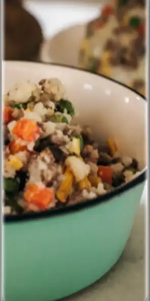 Play home made dog food recipe as an online game online home made dog food recipe with UptoPlay Play home made dog food recipe as an online game home made dog food recipe with UptoPlay