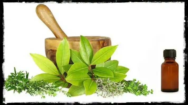 Play Home Remedies and Medicinal Plants Play Home Remedies and Medicinal Plants
