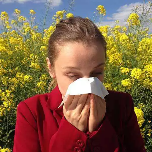 Free play online Home Remedy for Allergy APK