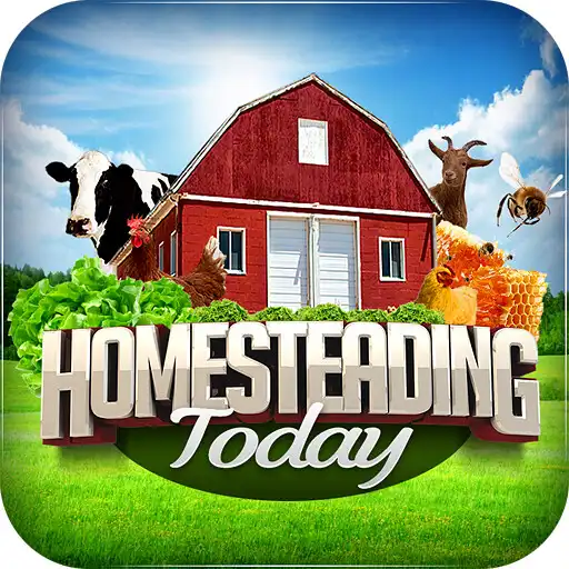 Play Homesteading Today APK
