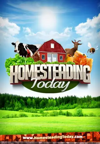 Play Homesteading Today  and enjoy Homesteading Today with UptoPlay