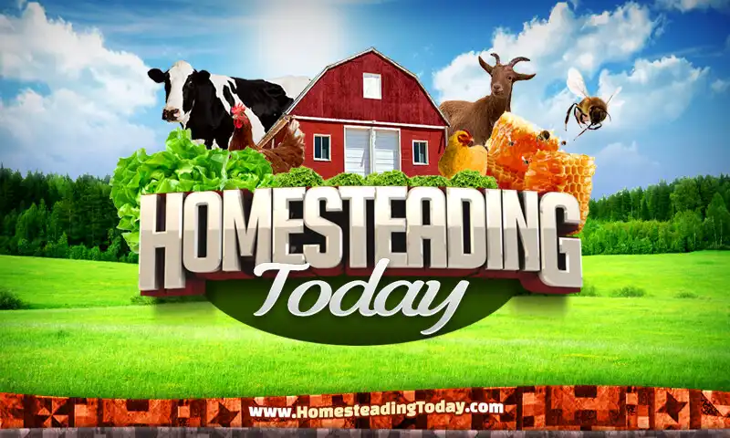 Play Homesteading Today as an online game Homesteading Today with UptoPlay