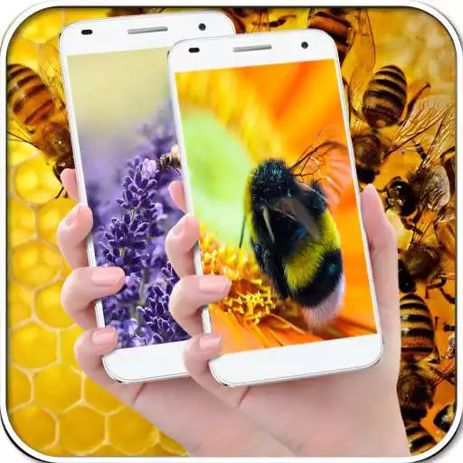 Free play online Honey Bee Wallpapers APK Free play online Honey Bee Wallpapers APK