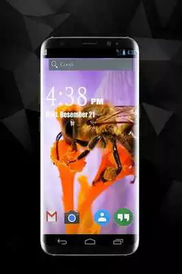 Play Honey Bee Wallpapers