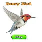 Free play online HoneyBird Bee APK Free play online HoneyBird Bee APK