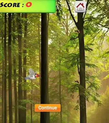Play HoneyBird  Bee