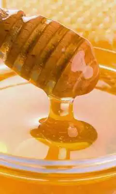 Play Honey Jigsaw Puzzles Play Honey Jigsaw Puzzles