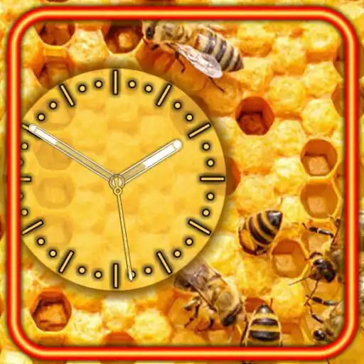 Play Honey n Bee Clock APK