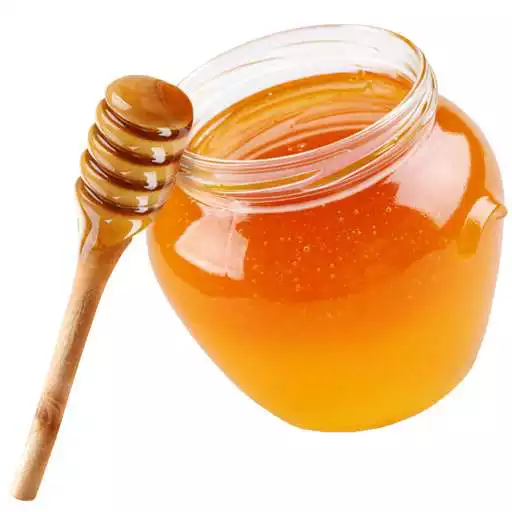 Run free android online Honey Uses and Benefits APK