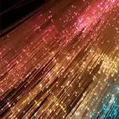 Free play online Honor Bee Wallpapers APK