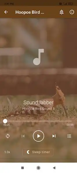 Play Hoopoe Bird Sounds as an online game Hoopoe Bird Sounds with UptoPlay