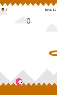 Play Hop It Play Hop It