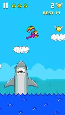 Play Hoppy Frog