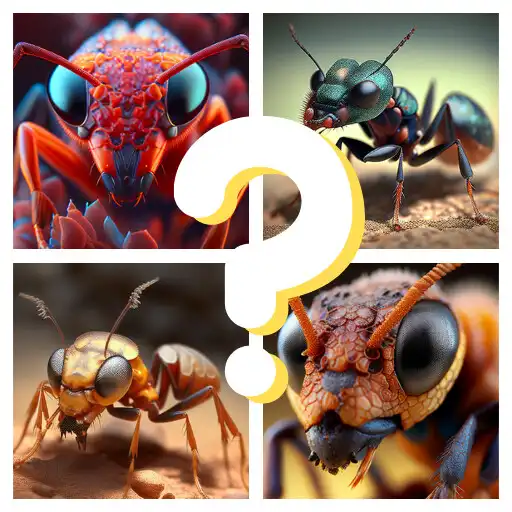 Play Hormigas quiz mirmecología APK Play Hormigas quiz mirmecología APK