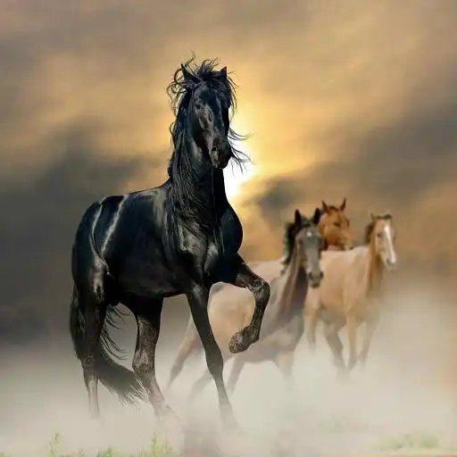 Play Horse 2 APK