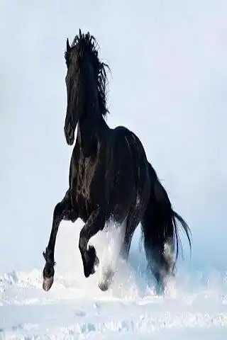 Play Horse 2 as an online game Horse 2 with UptoPlay