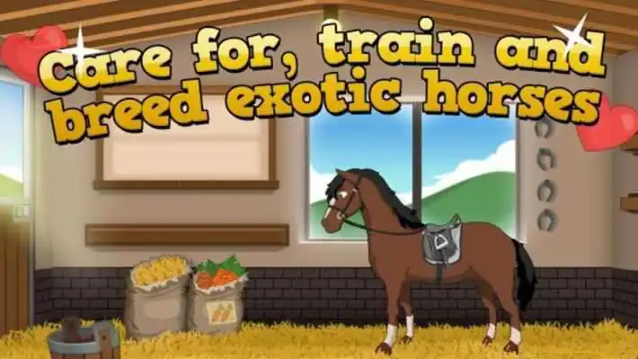 Play Horse Academy Play Horse Academy