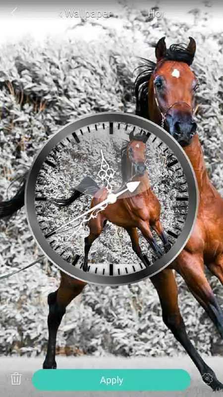 Play Horse Analog Clock Live Wallpaper