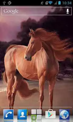 Play Horse at the sea LWP