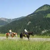 Free play online Horseback Riding Wallpapers APK Free play online Horseback Riding Wallpapers APK
