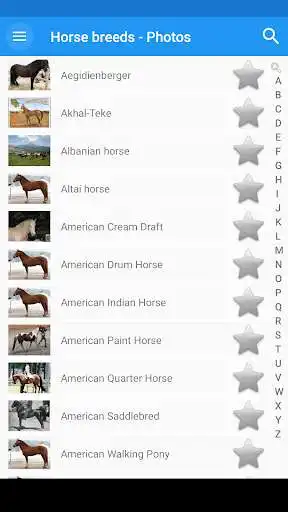 Play Horse breeds - Photos  and enjoy Horse breeds - Photos with UptoPlay