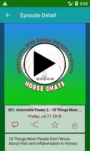Play Horse Chats  and enjoy Horse Chats with UptoPlay