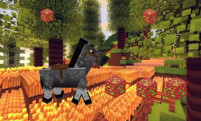 Play Horse Craft Hero Adventures