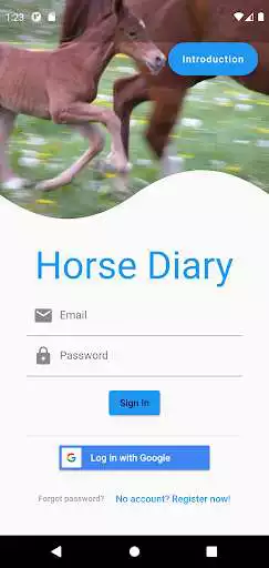 Play Horse Diary