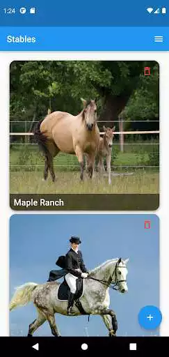 Play Horse Diary