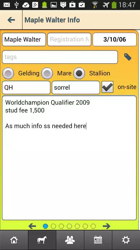 Play Horse Diary