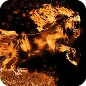 Free play online Horse Fire Wallpaper APK Free play online Horse Fire Wallpaper APK