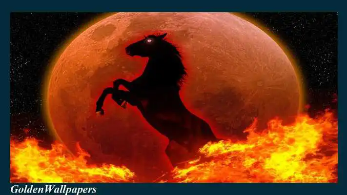 Play Horse Fire Wallpaper