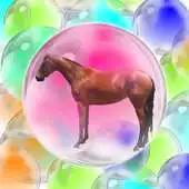 Free play online Horse - game for kids APK