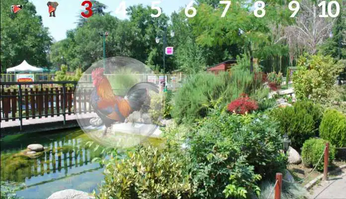 Play Horse - game for kids