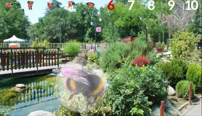 Play Horse - game for kids