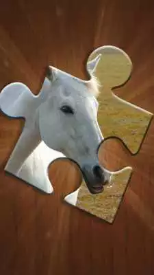 Play Horse Games - Jigsaw Puzzles