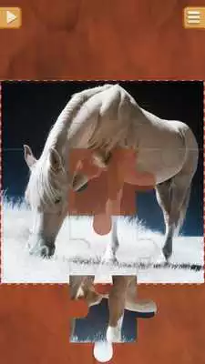 Play Horse Games - Jigsaw Puzzles