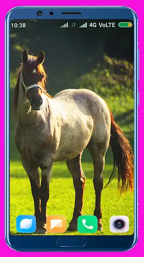 Play Horse HD Wallpaper  and enjoy Horse HD Wallpaper with UptoPlay