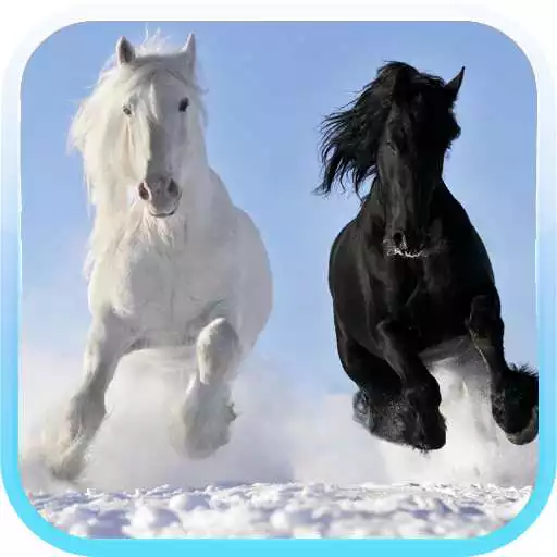 Run free android online Horse HD Wallpapers APK Run free android online Horse HD Wallpapers APK